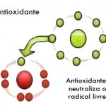 radicais-livres-detox-de-corpo-e-alma