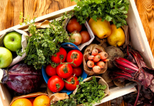 Quais os perigos do mercúrio e como eliminá-lo do seu organismo?